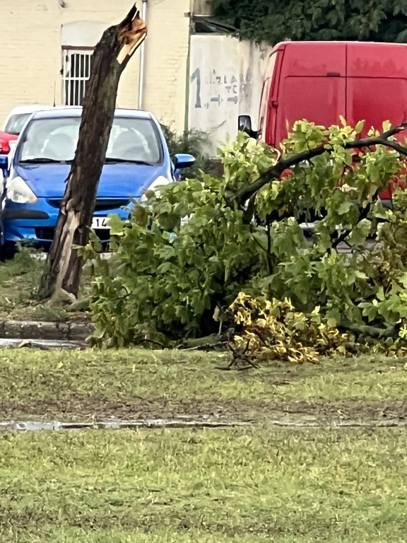 beillesztett kép