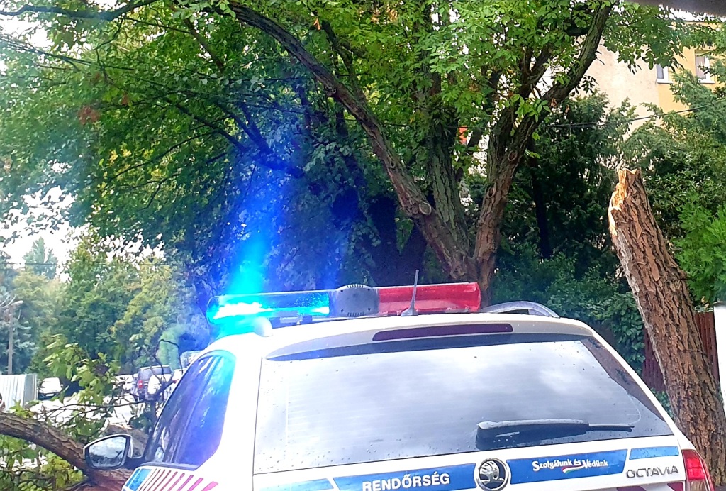 beillesztett kép