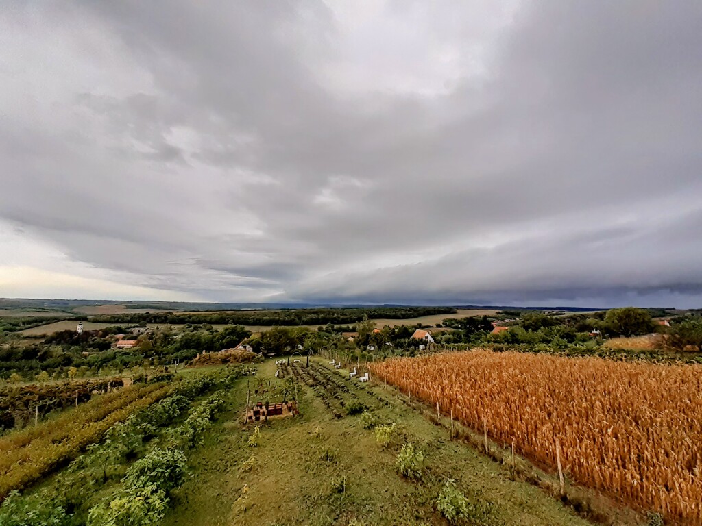 beillesztett kép