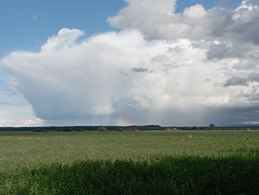 beillesztett kép