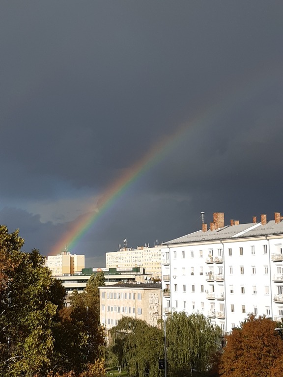 beillesztett kép