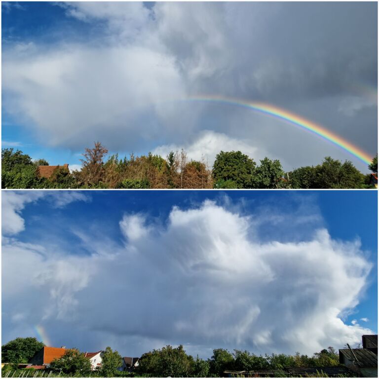 beillesztett kép