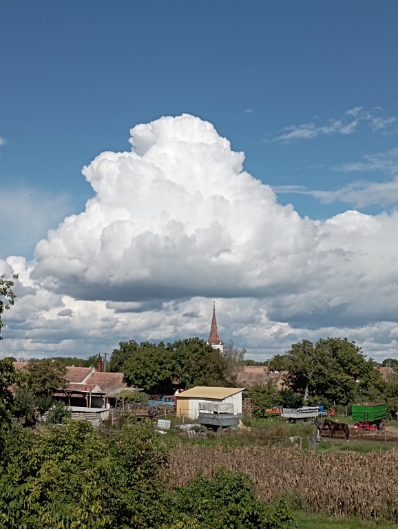 beillesztett kép