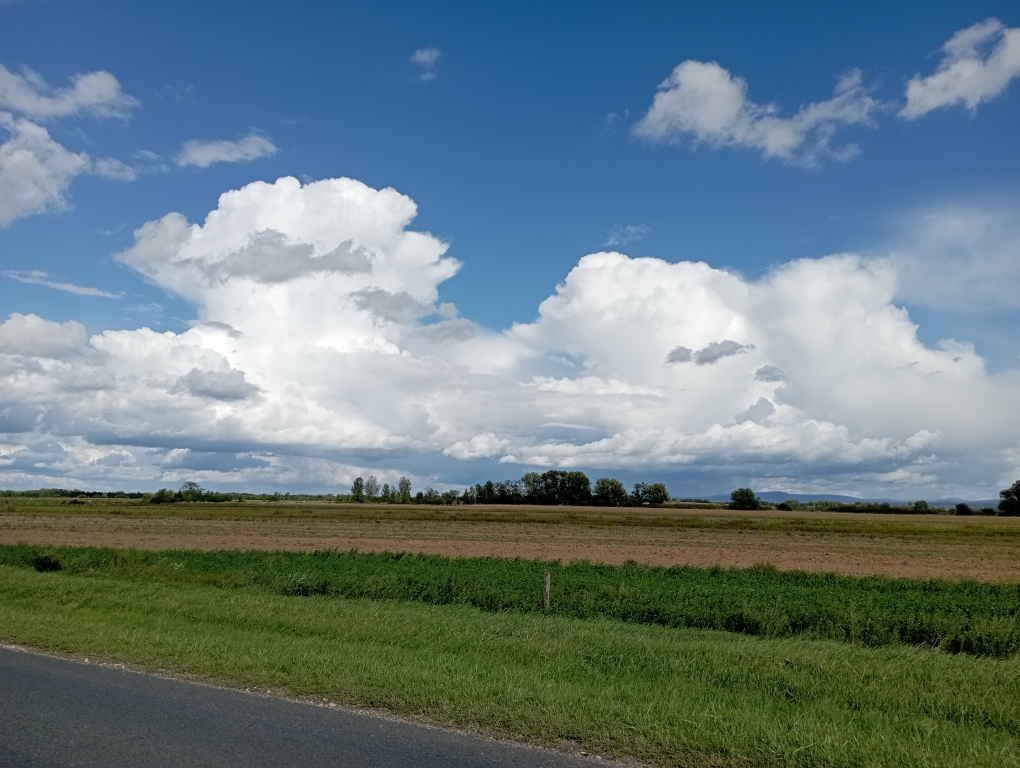 beillesztett kép
