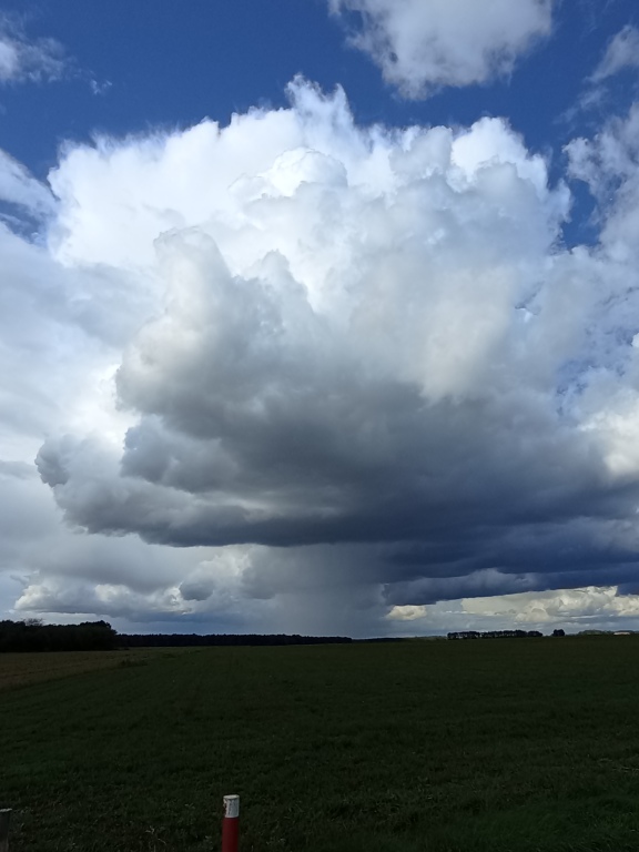 beillesztett kép