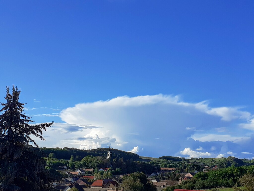 beillesztett kép