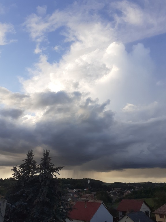 beillesztett kép