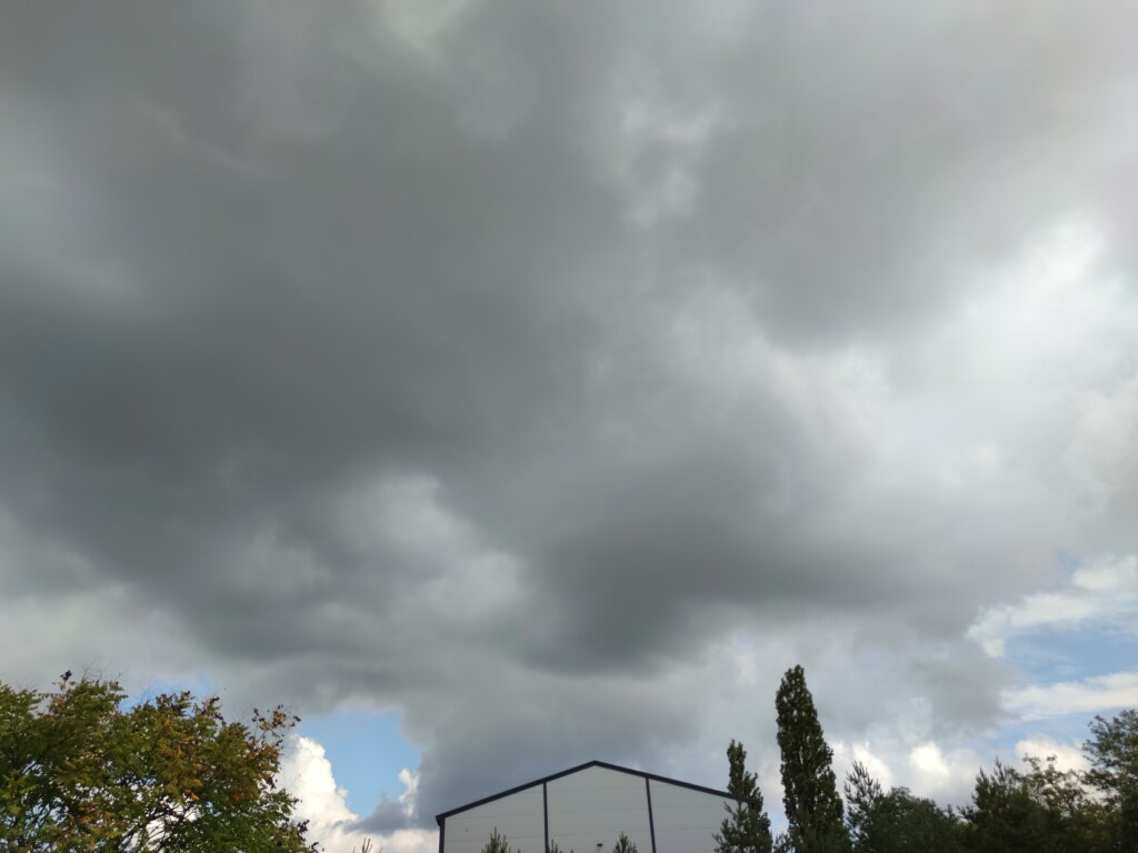 beillesztett kép