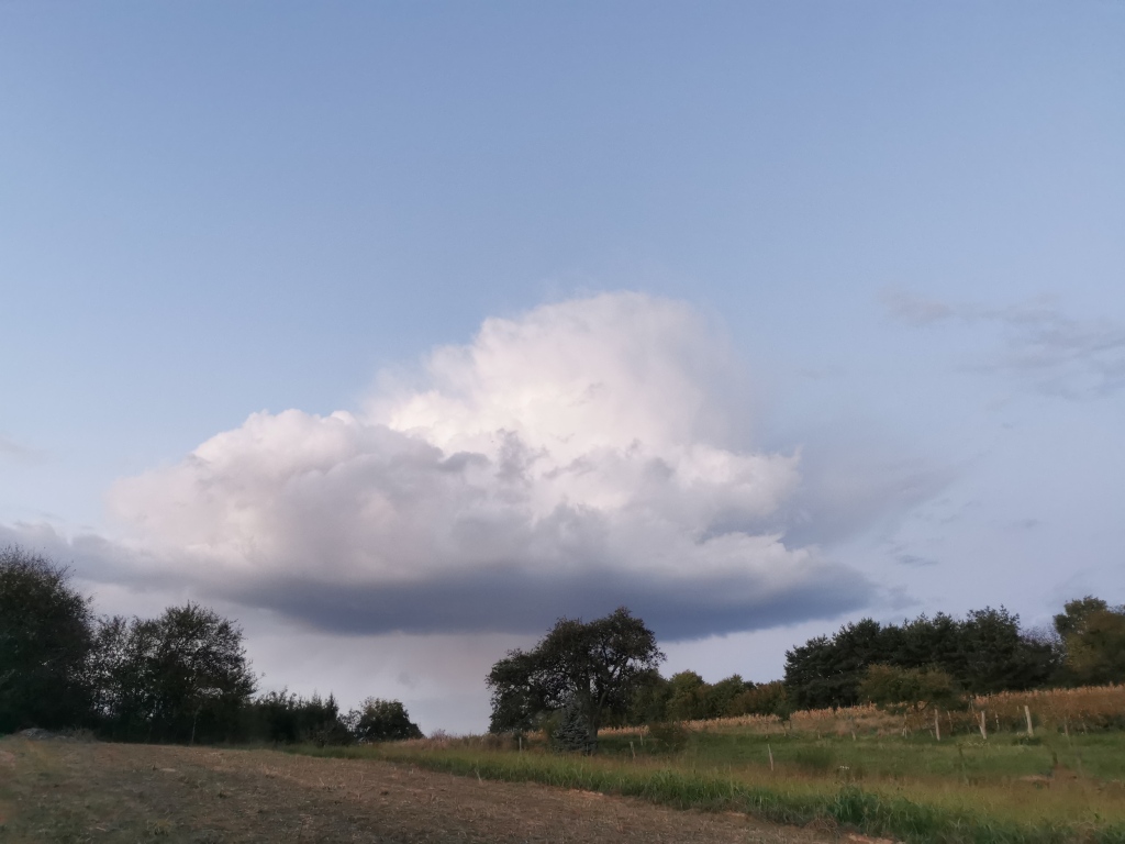 beillesztett kép