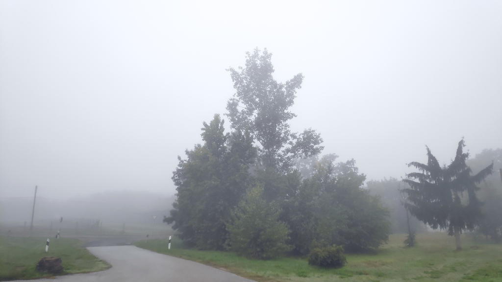 beillesztett kép