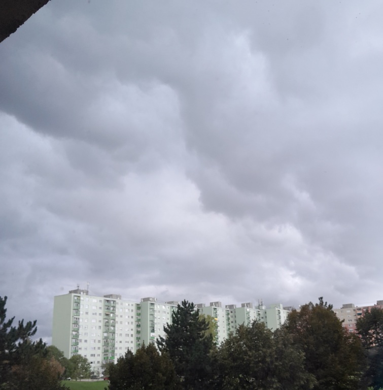 beillesztett kép