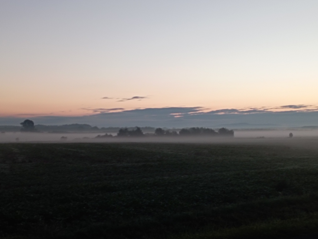 beillesztett kép