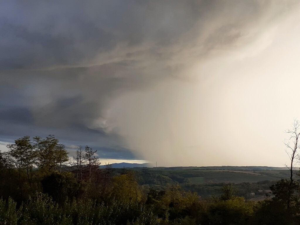 beillesztett kép