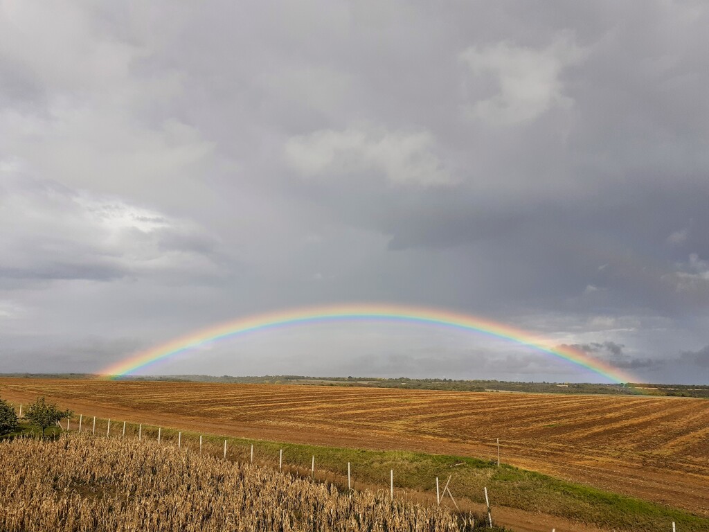 beillesztett kép