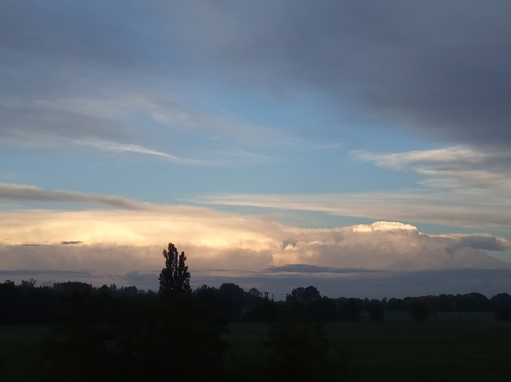 beillesztett kép