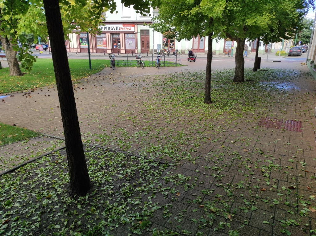 beillesztett kép