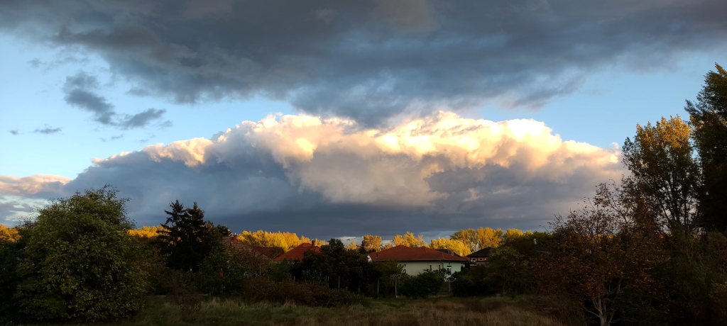 beillesztett kép