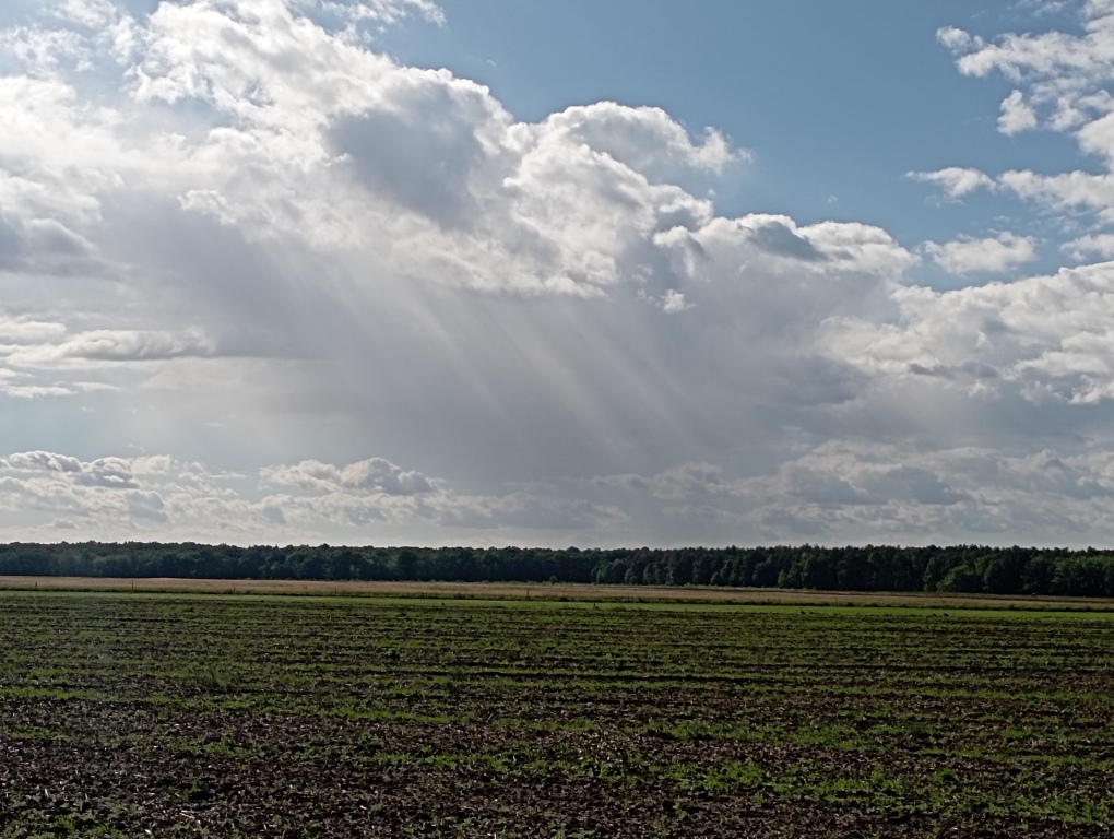 beillesztett kép