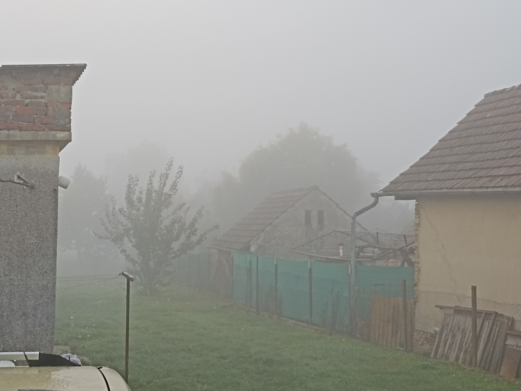 beillesztett kép