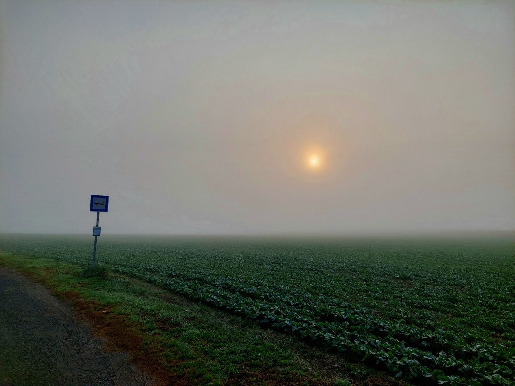 beillesztett kép