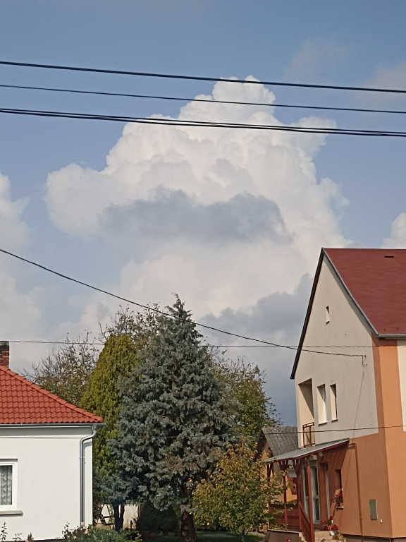 beillesztett kép