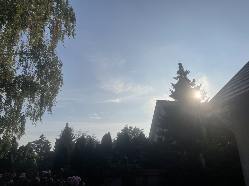 beillesztett kép