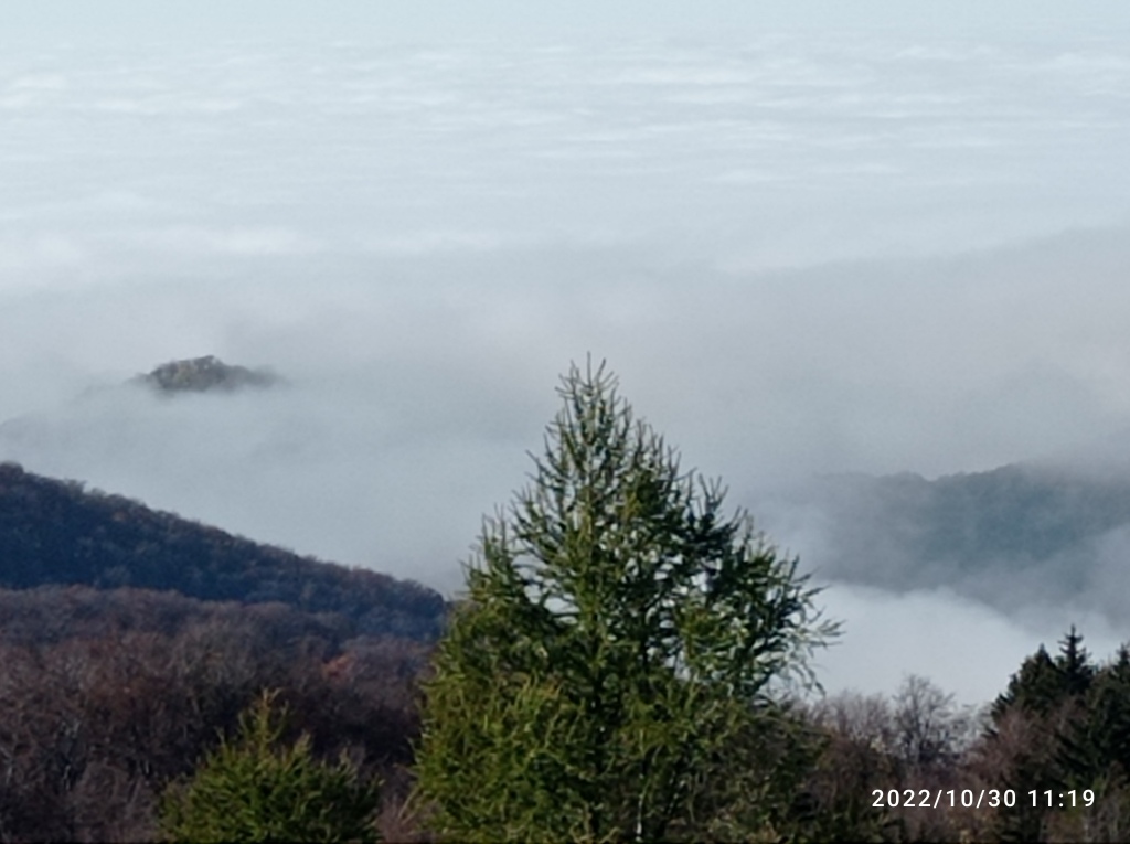 beillesztett kép