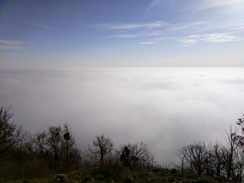 beillesztett kép