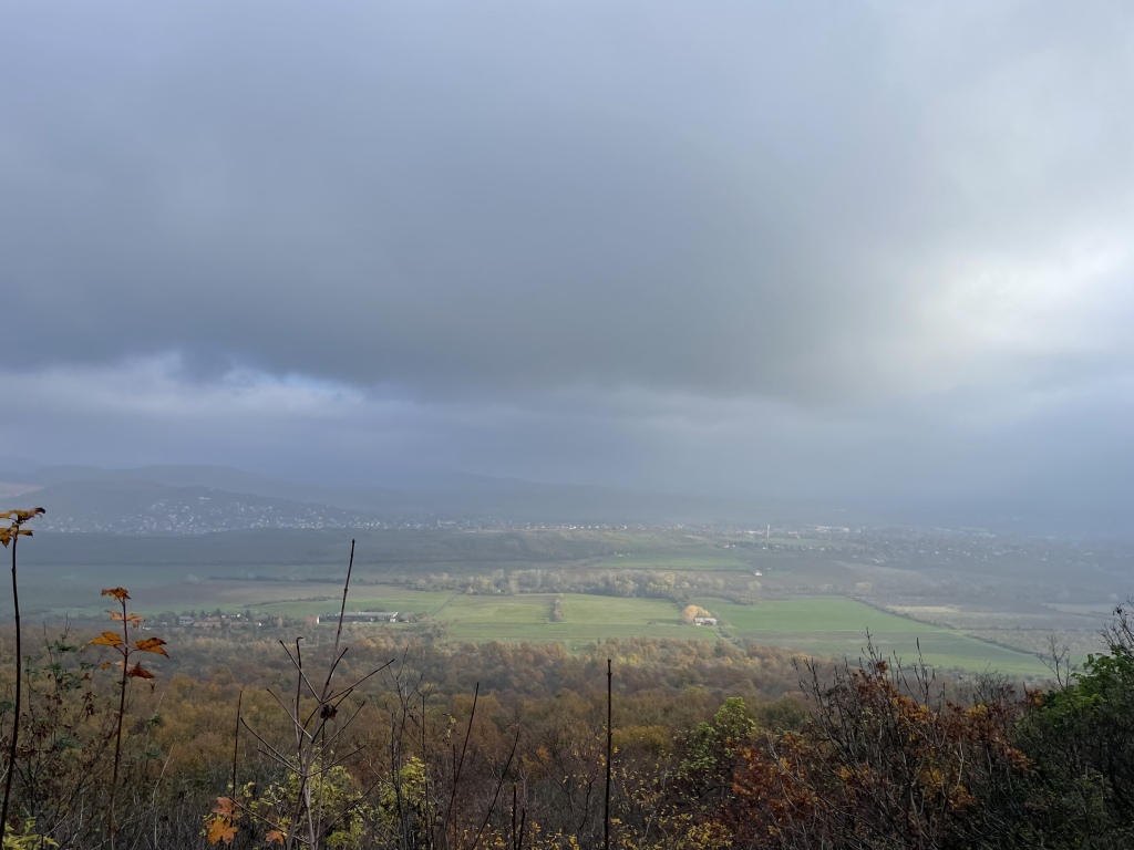 beillesztett kép