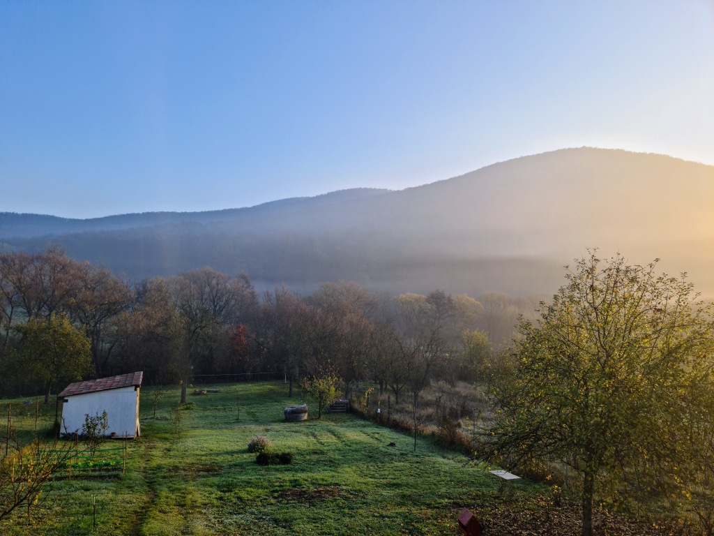 beillesztett kép