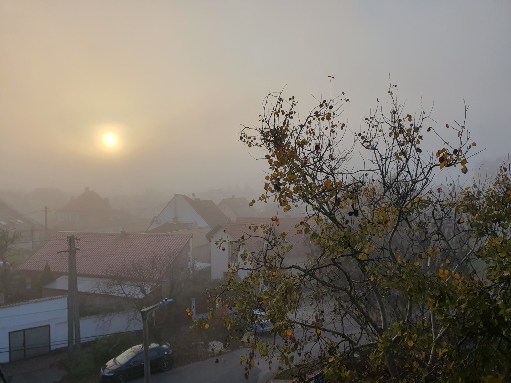 beillesztett kép