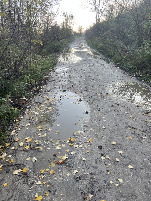 beillesztett kép