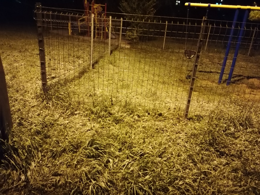 beillesztett kép