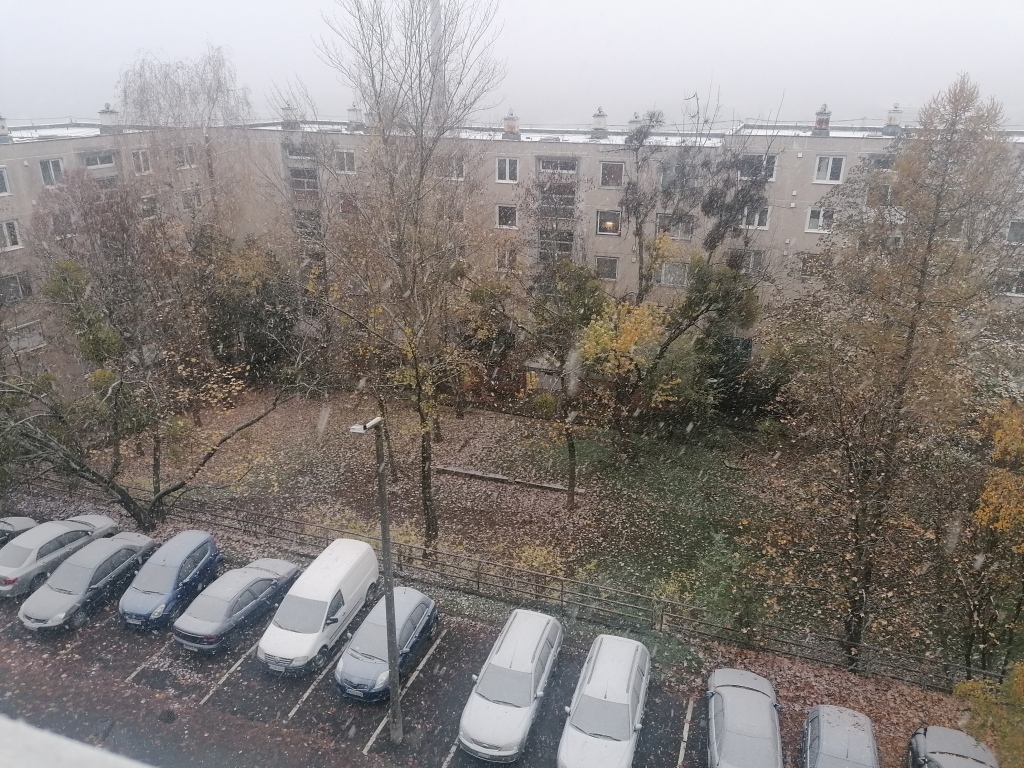 beillesztett kép