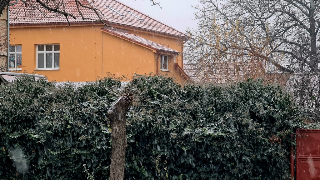 beillesztett kép