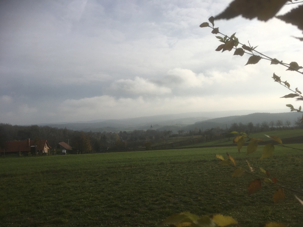 beillesztett kép