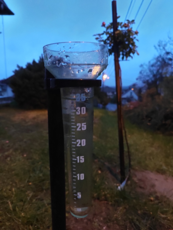 beillesztett kép