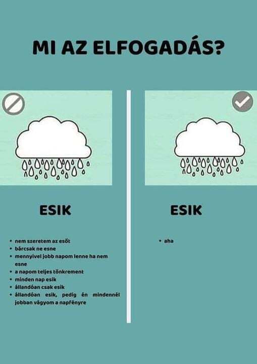 beillesztett kép