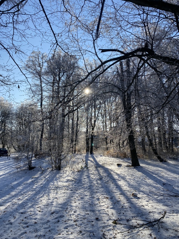 beillesztett kép