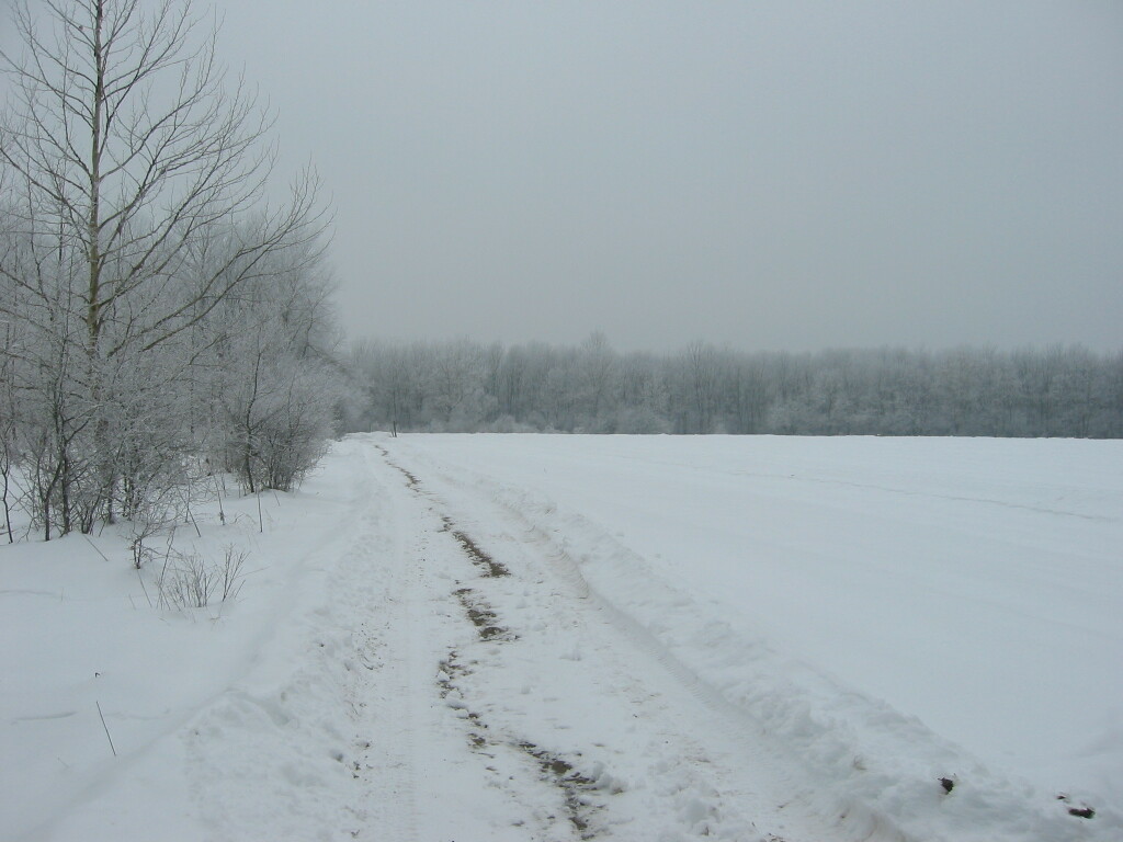 beillesztett kép