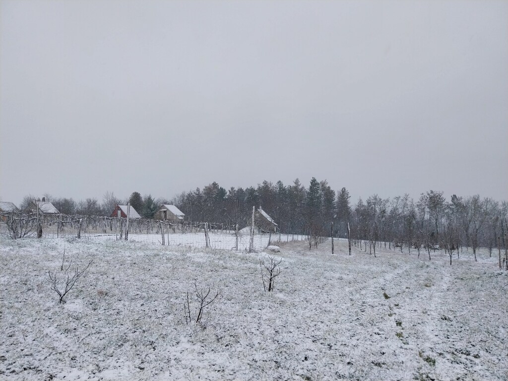 beillesztett kép