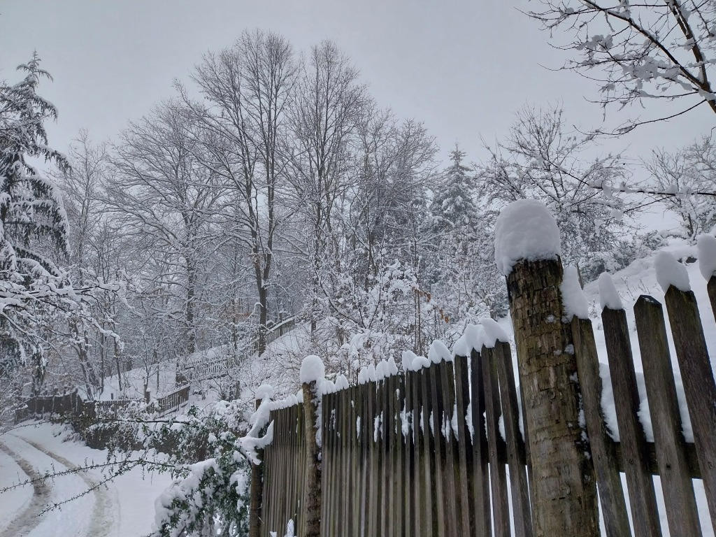 beillesztett kép