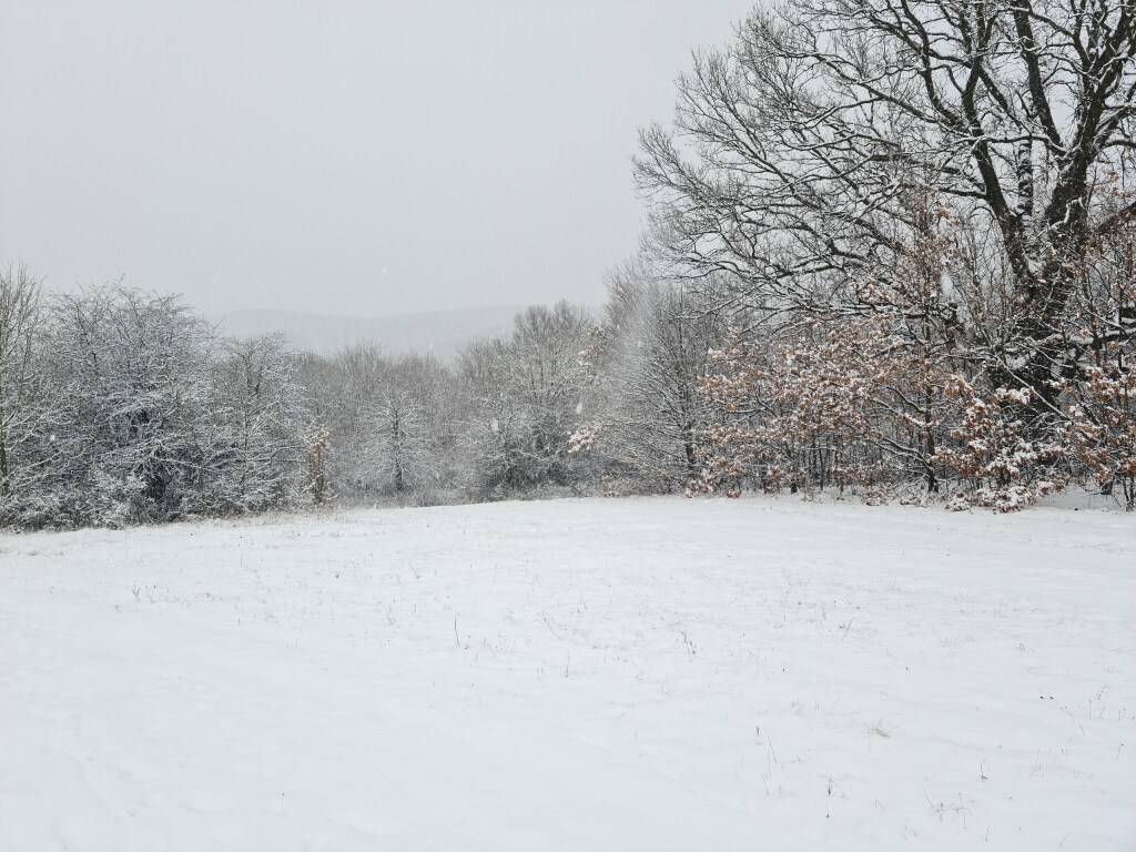 beillesztett kép