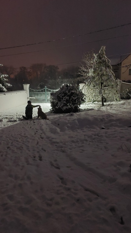beillesztett kép