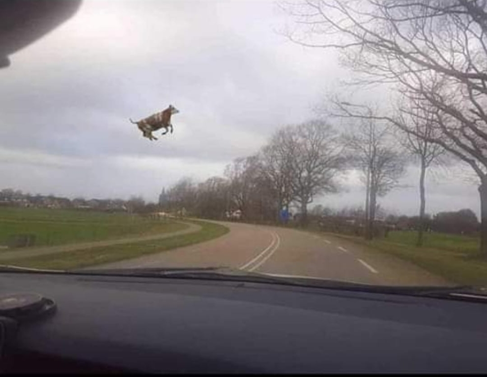 beillesztett kép