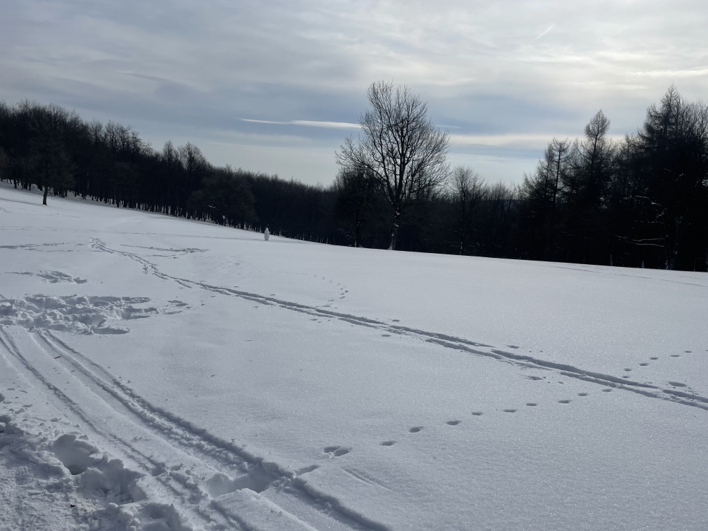 beillesztett kép