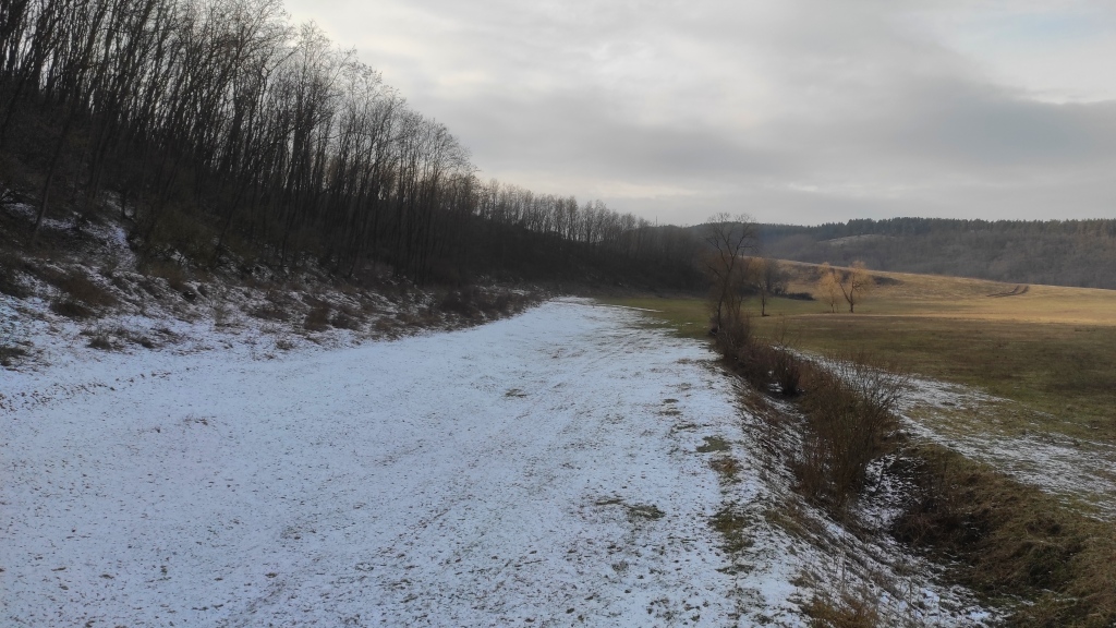 beillesztett kép