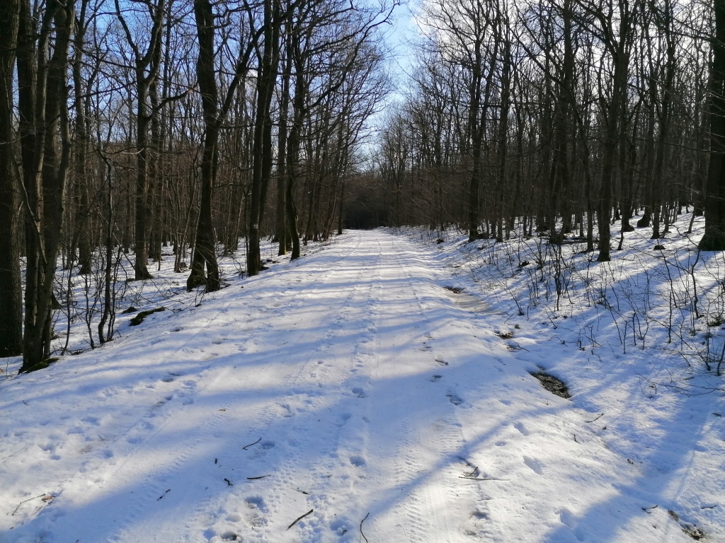 beillesztett kép