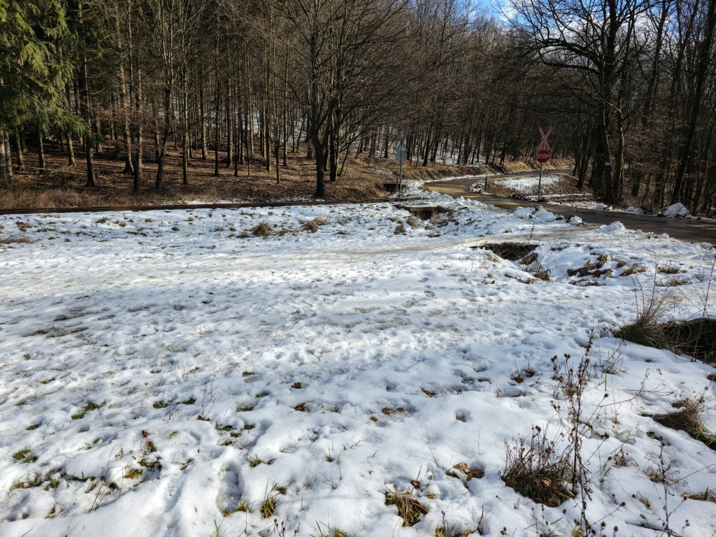 beillesztett kép