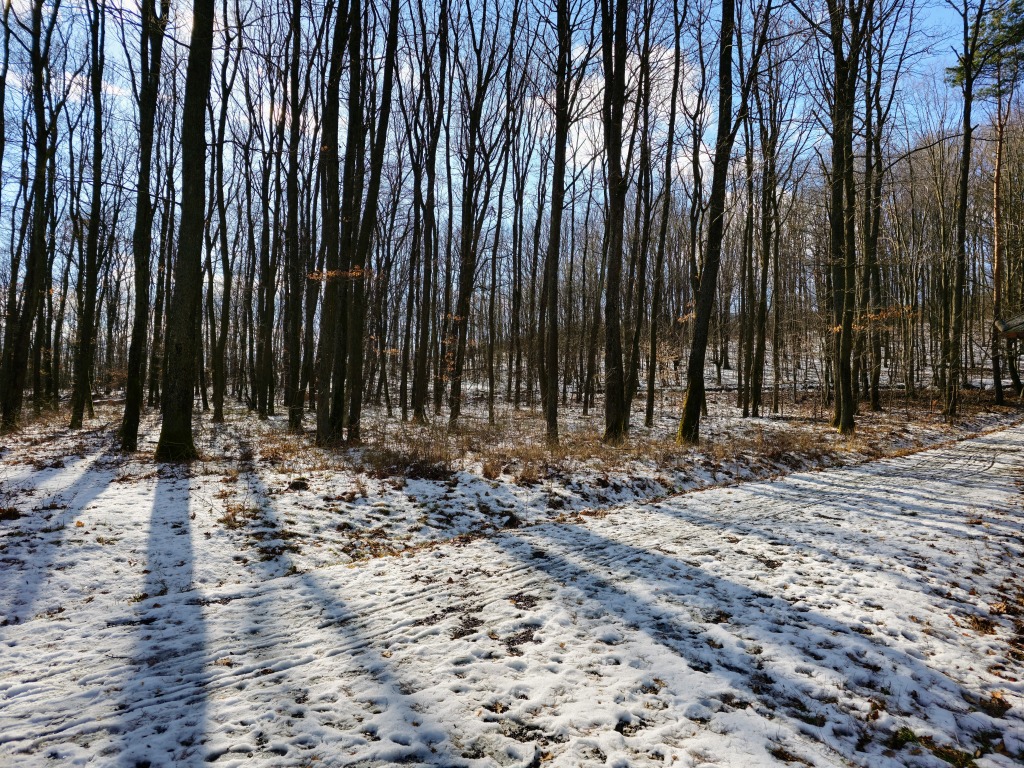 beillesztett kép